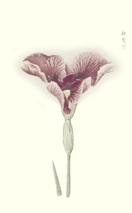 photo88.jpg