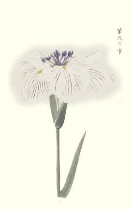 photo93.jpg