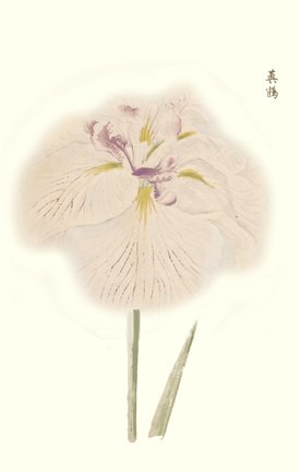 photo95.jpg