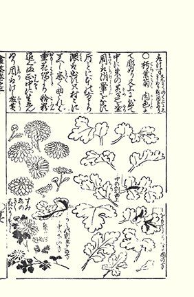 photo20.jpg