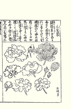 photo21.jpg