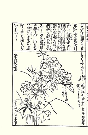 photo22.jpg
