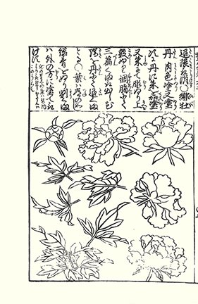 photo7.jpg