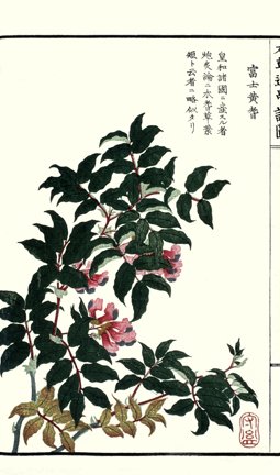 photo10.jpg