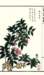 photo10_small.jpg