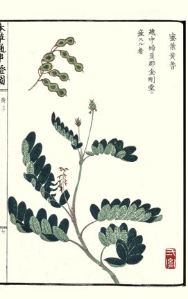 photo13.jpg