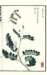 photo13_small.jpg