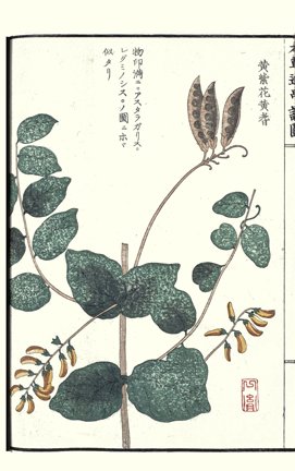 photo14.jpg