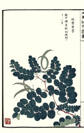 photo18.jpg