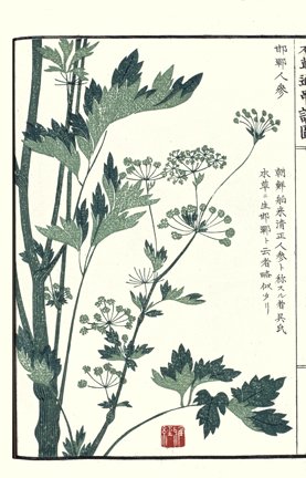 photo20.jpg