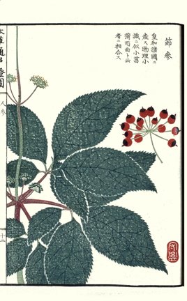 photo23.jpg