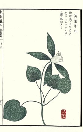 photo27.jpg