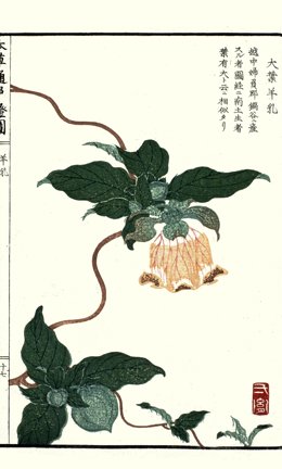 photo29.jpg