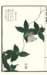 photo30_small.jpg