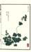 photo31_small.jpg