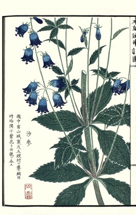photo32.jpg