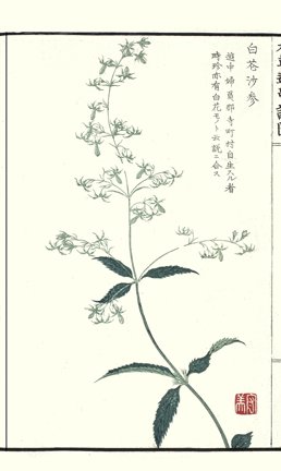 photo36.jpg