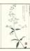 photo36_small.jpg