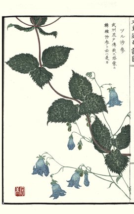 photo38.jpg