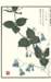 photo38_small.jpg