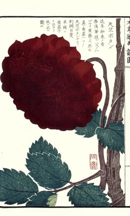 photo6.jpg
