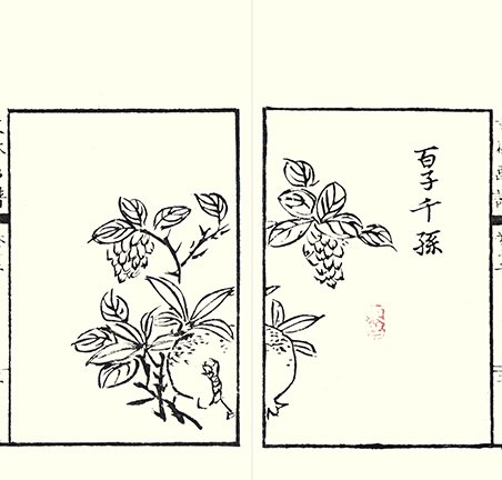 photo11.jpg