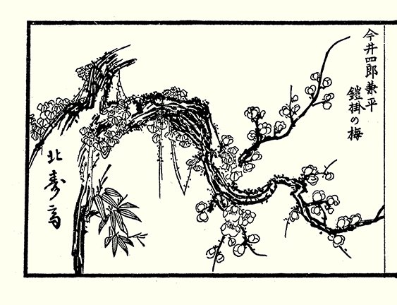 photo29.jpg