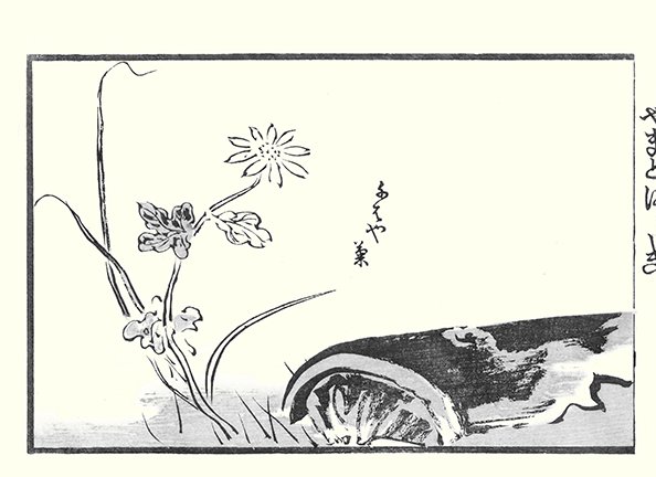 ms9.jpg
