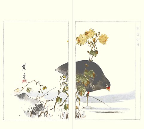 photo.jpg