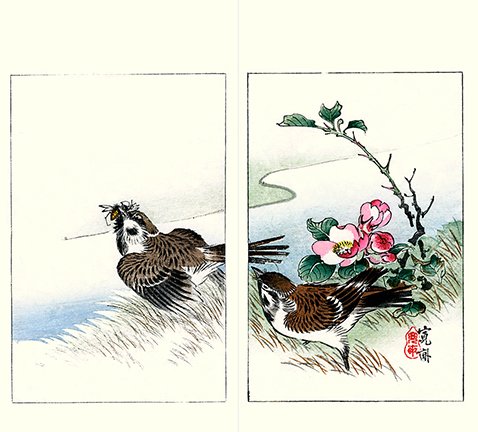 photo16.jpg