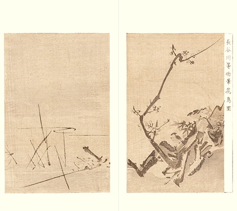photo25.jpg