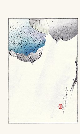 photo31.jpg