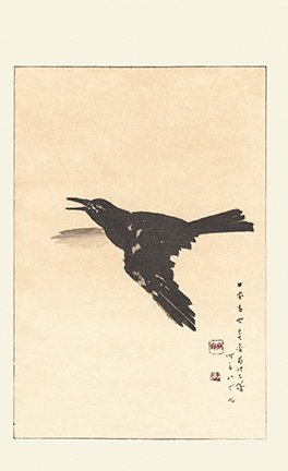 photo39.jpg