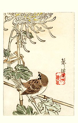 photo52.jpg