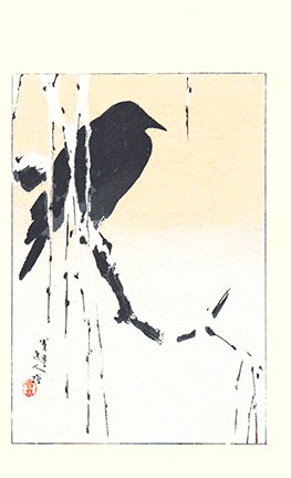 photo53.jpg