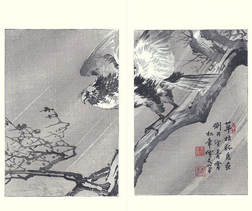 photo56.jpg