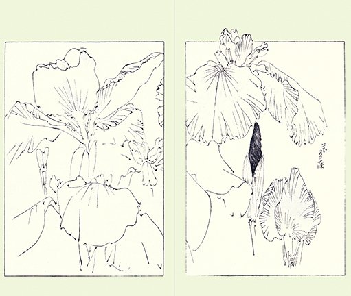 photo91.jpg