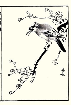 photo11.jpg