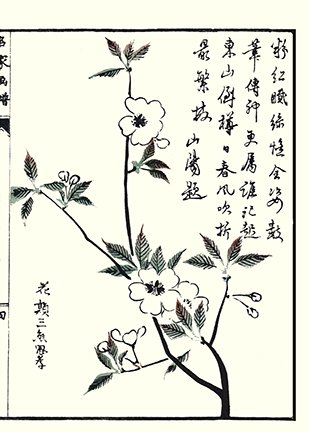 photo23.jpg