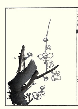photo25.jpg