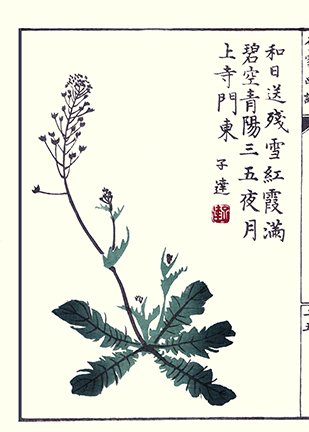 photo26.jpg