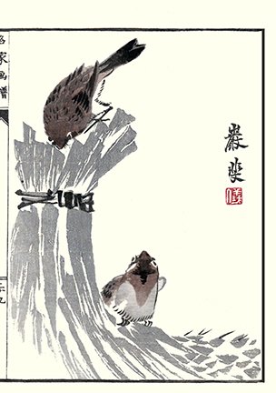 photo30.jpg
