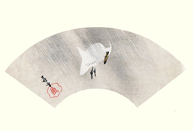 photo19.jpg