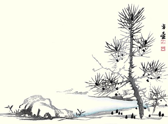 photo8.jpg