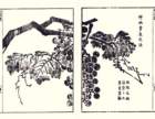 photo7_small.jpg