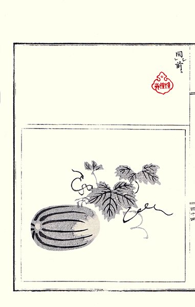 photo12.jpg