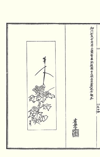 photo16.jpg