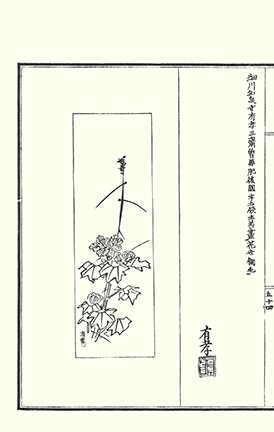photo16.jpg