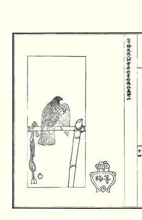 photo21.jpg