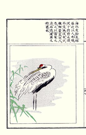 photo8.jpg